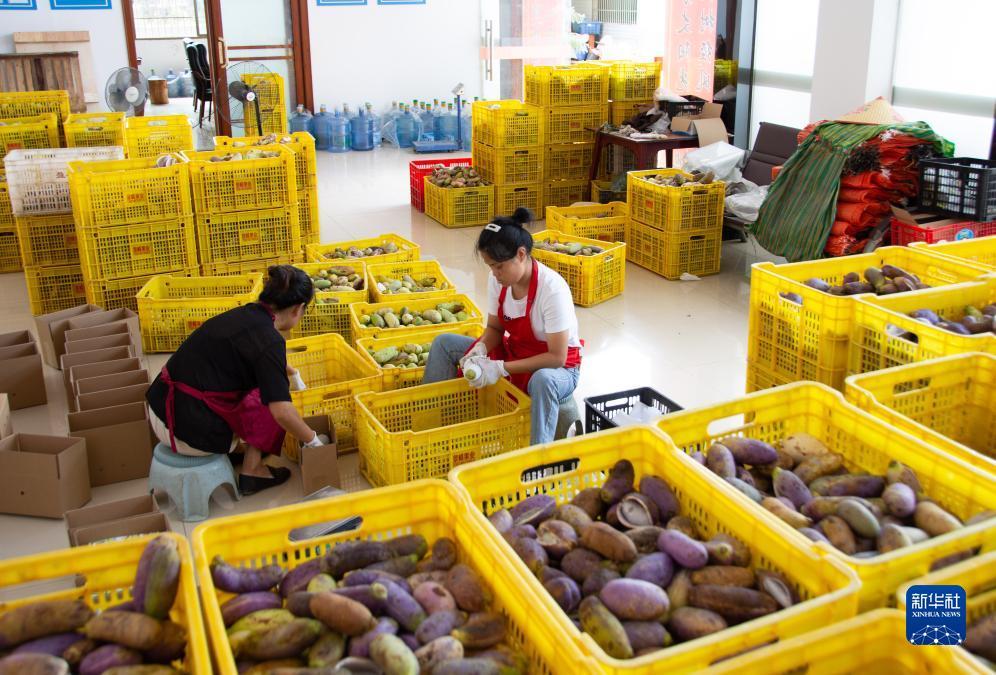 凤凰城游戏上分微信